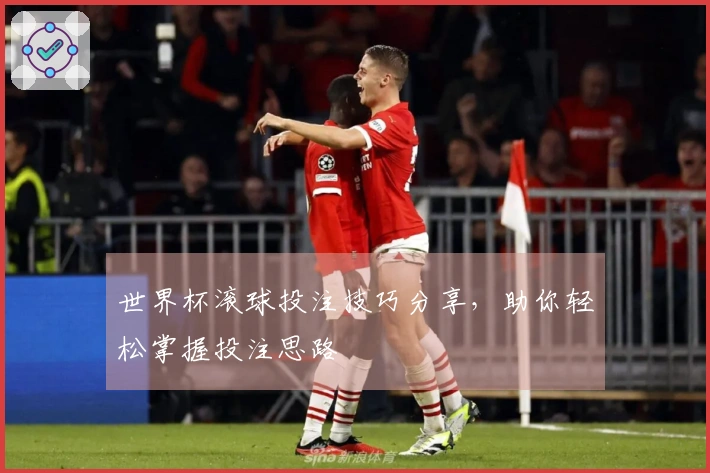 世界杯滚球投注技巧分享，助你轻松掌握投注思路