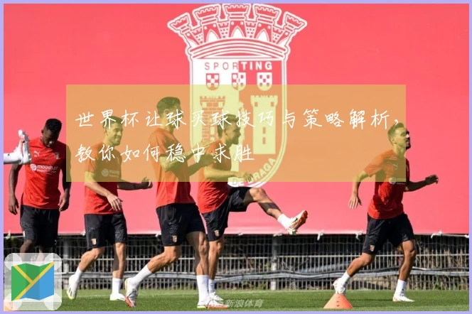 世界杯让球买球技巧与策略解析，教你如何稳中求胜