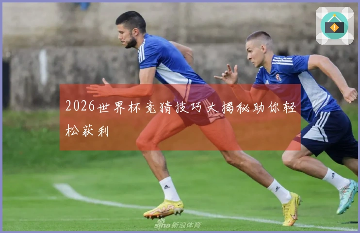 2026世界杯竞猜技巧大揭秘助你轻松获利
